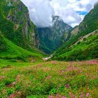 Valley of Flowers